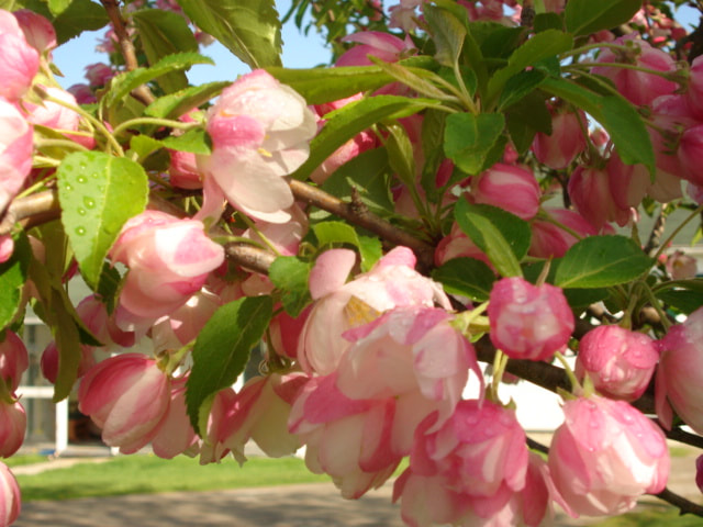 FULL – May 10th – Mother’s Day