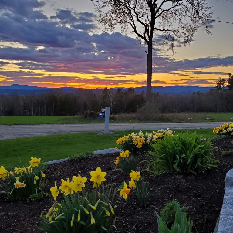 Newsletter – Spring 2025