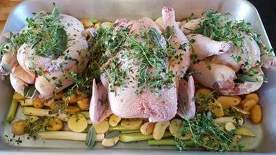 Herbed chickens ready for the oven